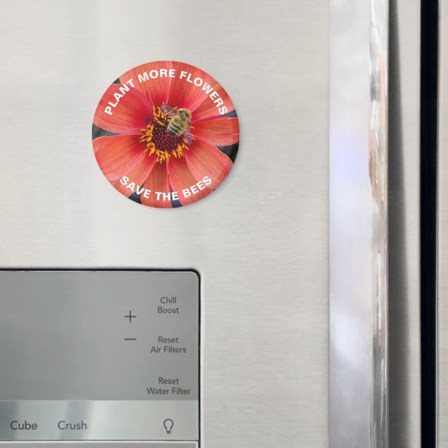 Íman Salve as Abelhas Laranja Dahlia Flor (In Situ (Fridge))