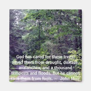 Íman Salve-nos de Tolos - ímã