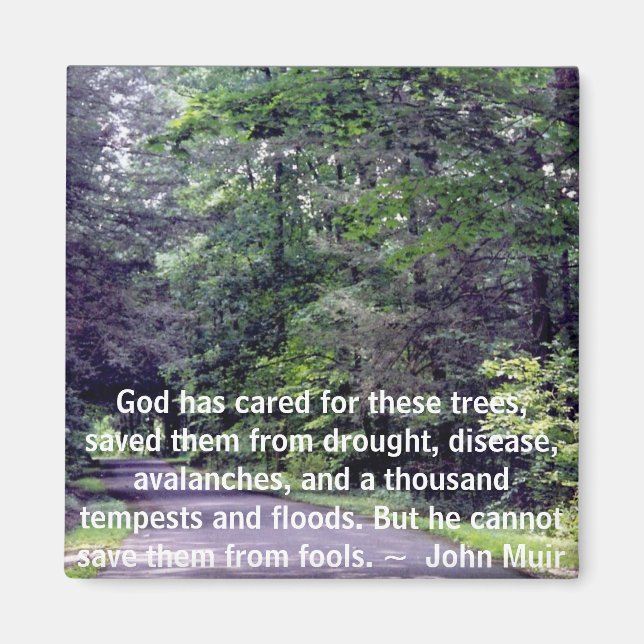 Íman Salve-nos de Tolos - ímã (Frente)