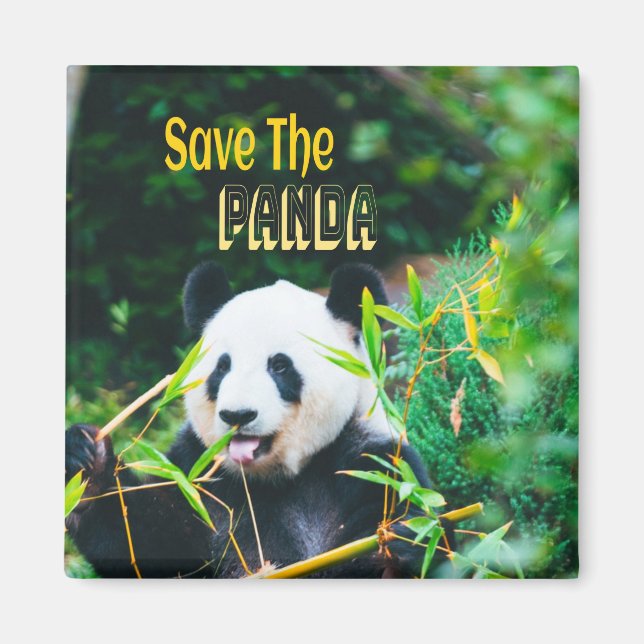 Íman Salve O Panda (Frente)