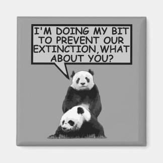 Íman Salve o Panda