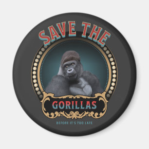 Íman Salve Os Gorilas   Espécies Ameaçadas