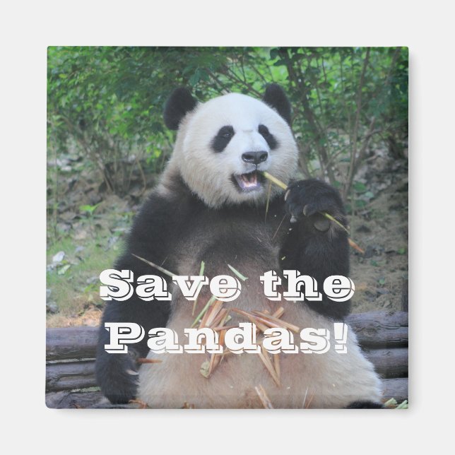 Íman Salve os Ímãs de Pandas Gigantes (Frente)