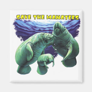 Íman Salve os Manatees