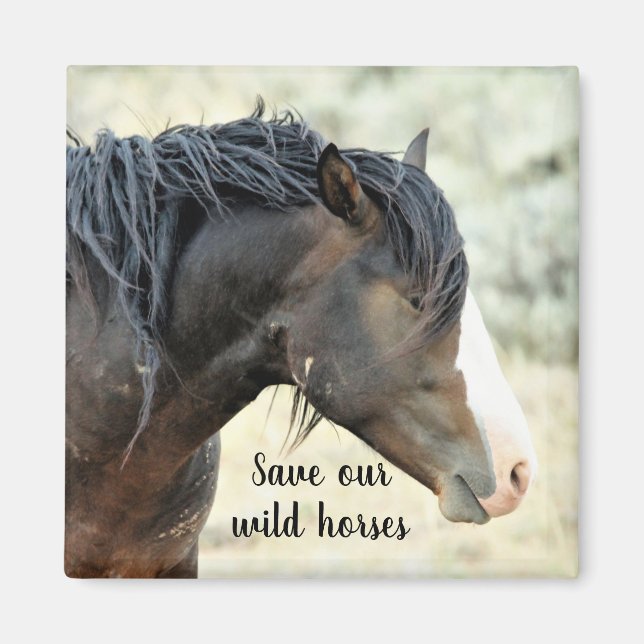 Íman Salve os nossos Mustangs Selvagens do Ocidente (Frente)