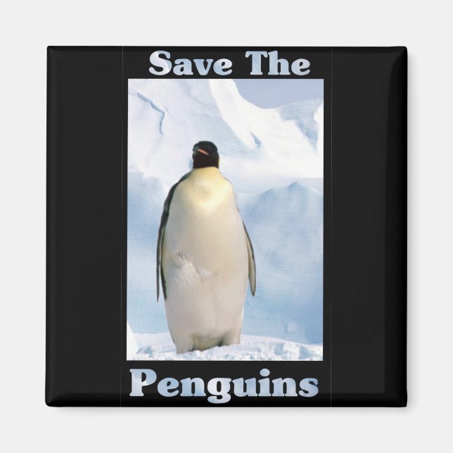 Íman Salve os pinguins (Frente)