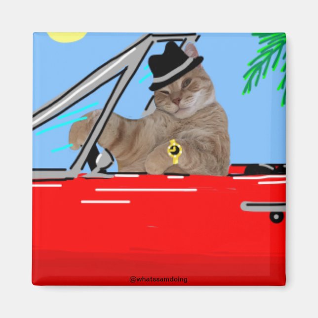 Íman Sam Le Cat Baller Cat Magnet (Frente)