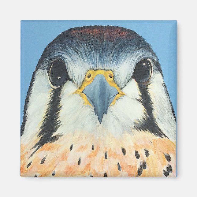 Íman Sam, um Kestral Americano (Frente)
