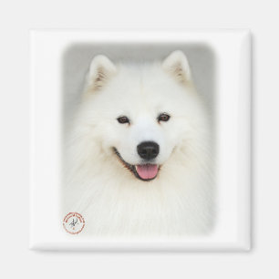 Íman Samoyed 9Y566D-019