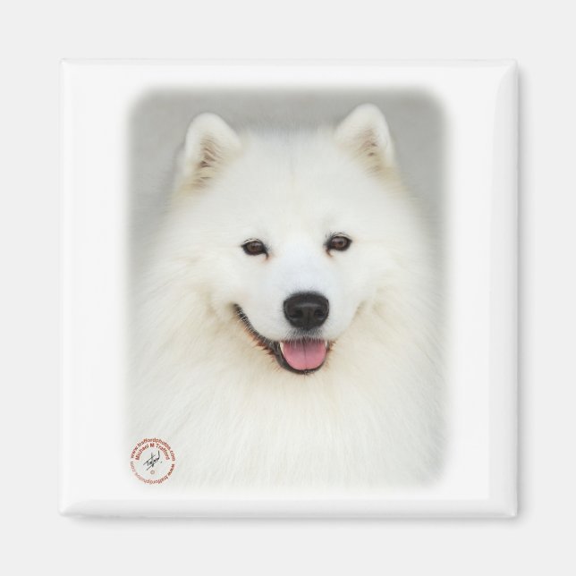 Íman Samoyed 9Y566D-019 (Frente)