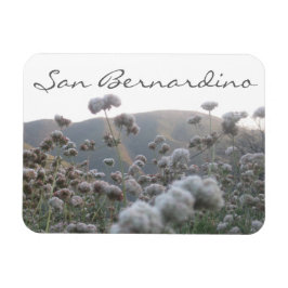 Íman San Bernardino