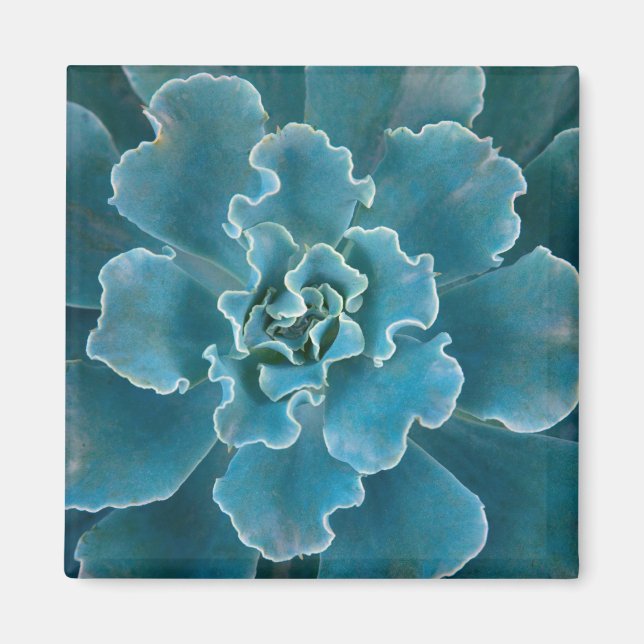 Íman San Francisco California Ouro Gate Park e (Frente)