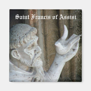 Íman San Francisco e a pomba