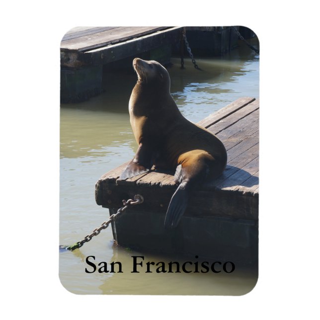 Íman San Francisco Pier 39 Sea Lion #2 Magnet (Vertical)