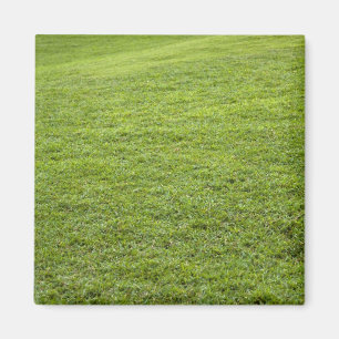 Íman San Juan, Porto Rico - Grama verde é