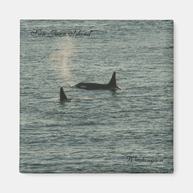 Íman San Juans (Frente)