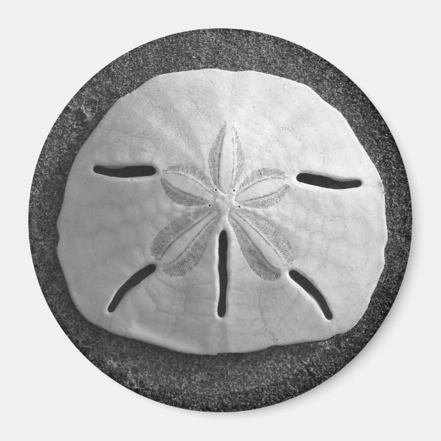 Íman Sand Dollar Sea Shell Beach Magnet (Frente)