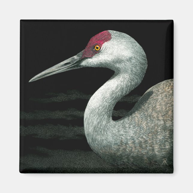 Íman Sandhill Crane Magnet - Grassland Grace (Frente)