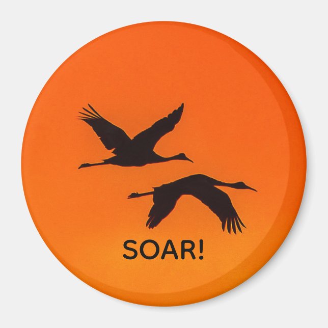 Íman Sandhill Cranes a voar para o Sunset Magnet (Frente)