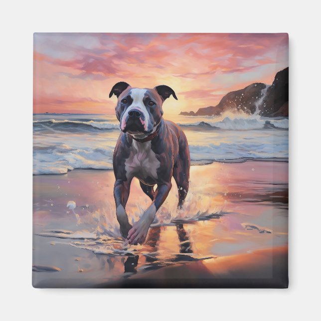 Íman Sandy American Staffordshire Dog em Beach Sunset (Frente)
