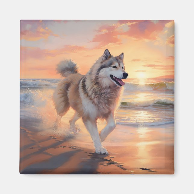Íman Sandy Paws Alaskan Malamute Dog em Beach Sunset (Frente)