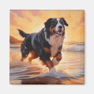 Íman Sandy Paws Bernese Mountain Dog em Beach Sunset