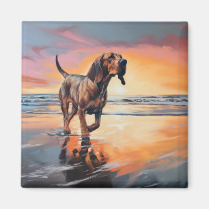 Íman Sandy Paws Bloodhound Dog em Beach Sunset
