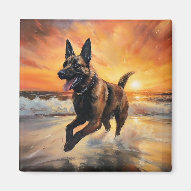 Íman Sandy Paws Cachorro Malinois Belga em Beach Sunset (Frente)