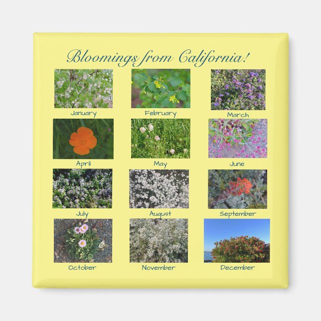 Íman Sangue da Califórnia! (Frente)