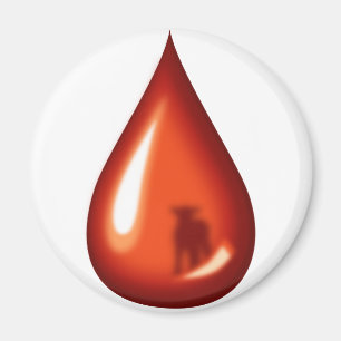 Íman Sangue do cordeiro Jesus