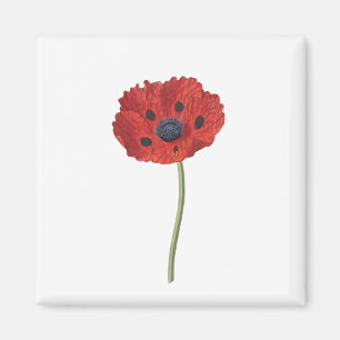 Íman Sangue do Flor da Flor Poppy