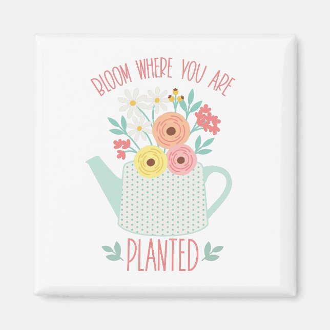 Íman Sangue Onde Plantado (Frente)