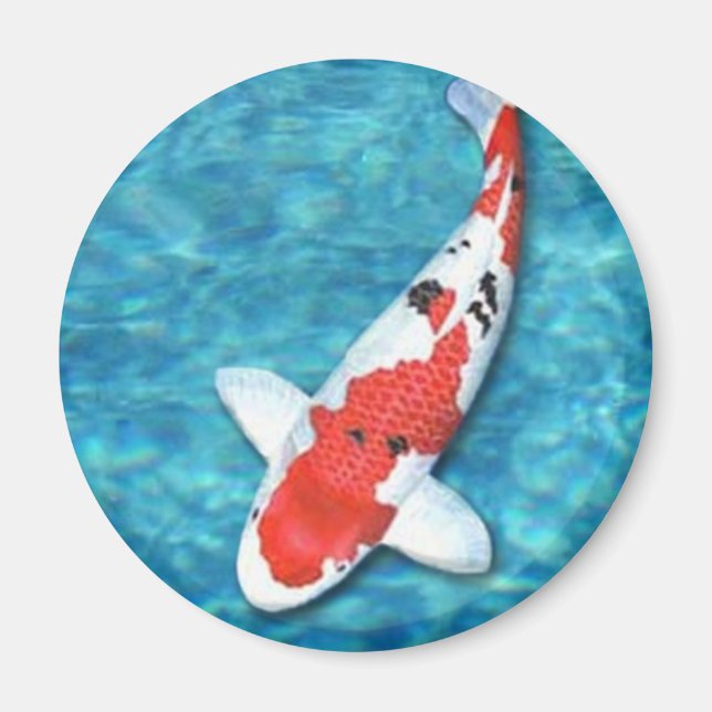 Íman Sanke Magnet (Frente)