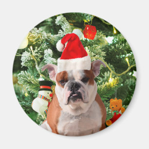 Íman Santa Hat Bulldog Árvore de Natal Snowman Caixa de