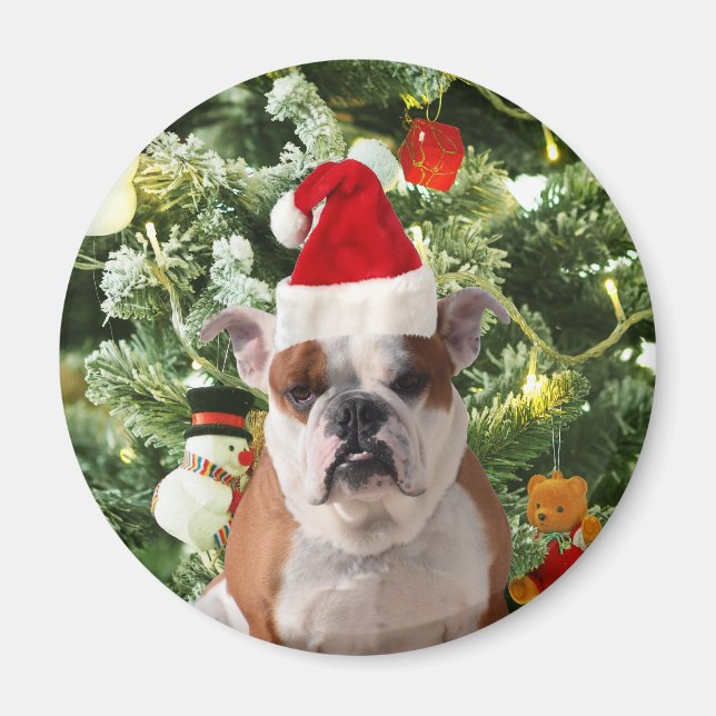 Íman Santa Hat Bulldog Árvore de Natal Snowman Caixa de (Frente)