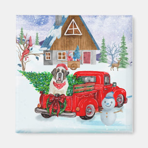 Íman Santo Bernard Dog Na Neve Dos Caminhões De Natal