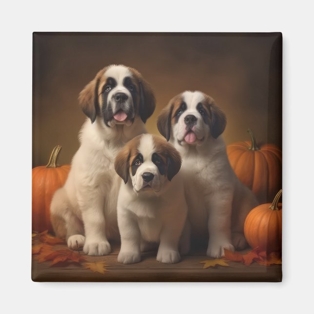 Íman Santo Bernard Puppy Autumn Delight Pumpkin (Frente)