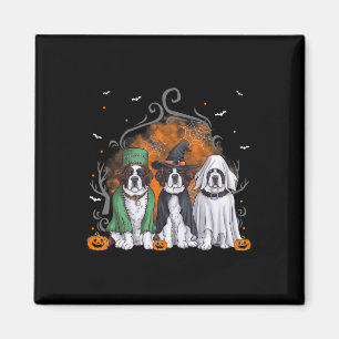 Íman Santo Bernard Rua. Bernard Dog Halloween Custo Fan