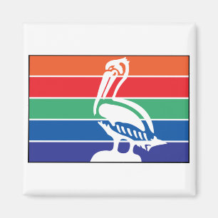 Íman Santo Petersburg Flórida