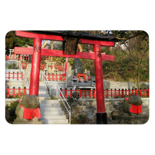 Íman Santuário de Suehiro Ogami (Shrine de Sapo Fortun