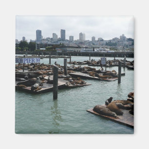 Íman São Francisco e Leões Marinhos do Pier 39 Silhueta