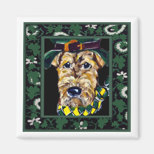 Íman São Patrício Airedale