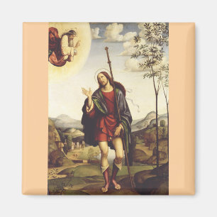 Íman São Roque por Francesco Francia 