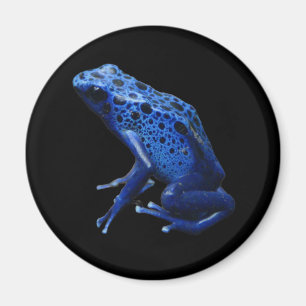 Íman Sapo Dart Azul