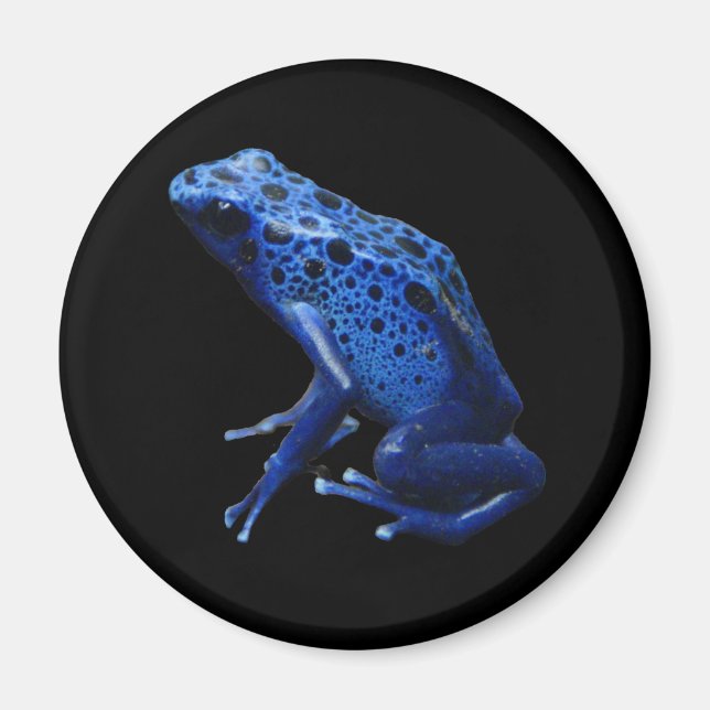 Íman Sapo Dart Azul (Frente)