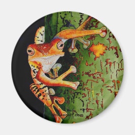 Íman Sapo de árvore