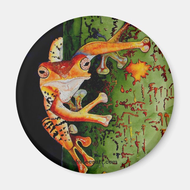 Íman Sapo de árvore (Frente)