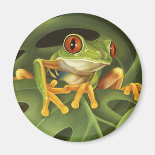 Íman Sapo de Árvore Vermelha