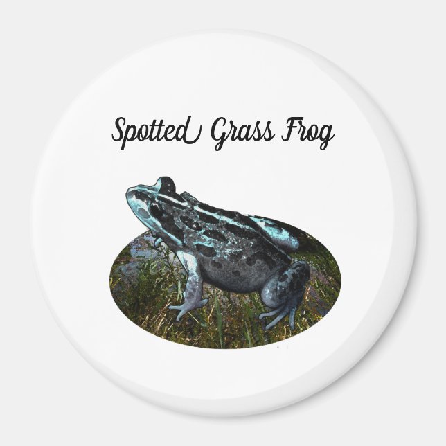 Íman Sapo De Grass, Magnet (Frente)