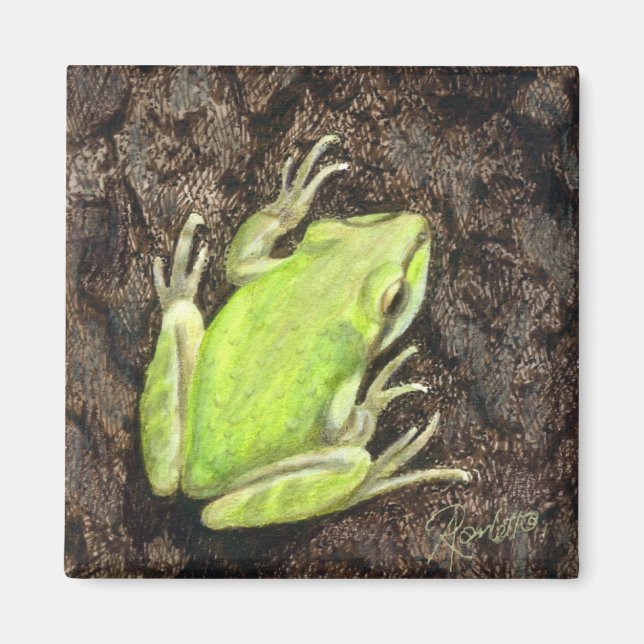Íman Sapo Magnet - "Invy Green" (Frente)